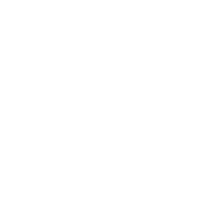 dog rooms